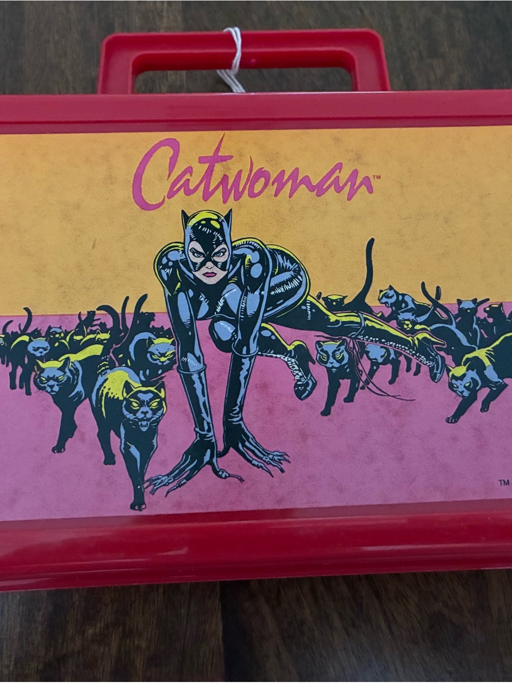 Rare Vintage 1991 Cat Woman Pencil Case NWOT